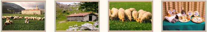 Una serie de 4 fotos, en la que podemos encontrar las pastoras y sus ovejas en un campo de Loiola. En otra podemos ver la borda que tienen en el monte. Un grupo de sus ovejas comiendo hierba y para finalizar un bodegn de su variedad de quesos.